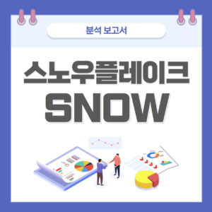 스노우플레이크, SNOW