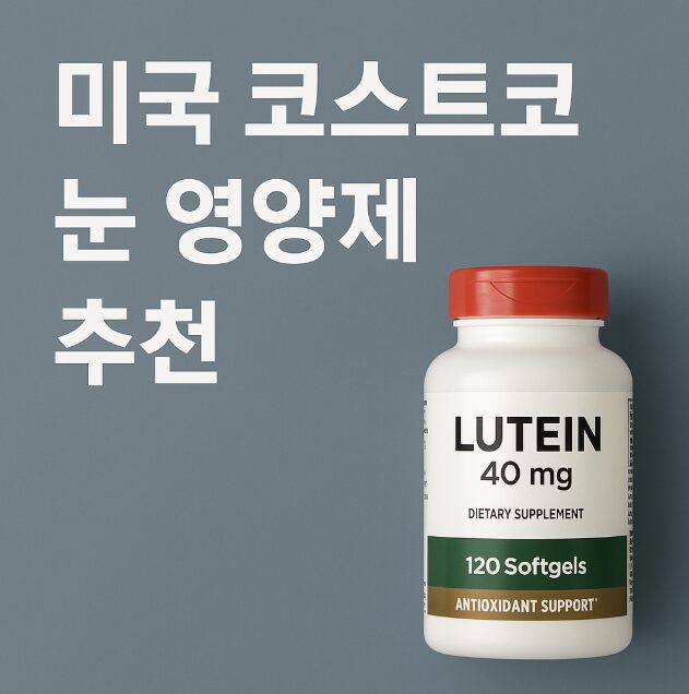 미국 코스트코 눈 영양제 추천