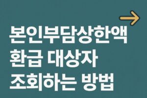 본인부담상한제 환급금