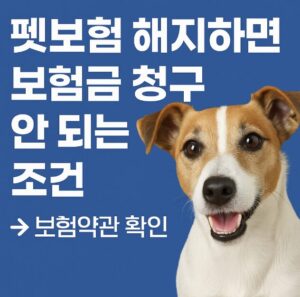 펫보험