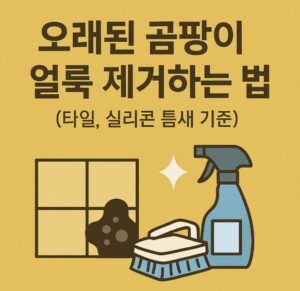 오래된 곰팡이 얼룩 제거