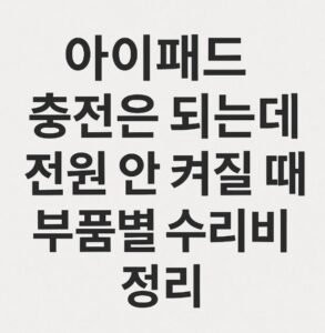 아이패드 충전은 되는데