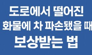 도로에서 떨어진 화물