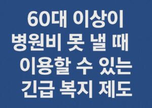 긴급 복지 제도