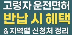 고령자 운전면허