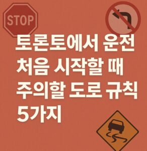 토론토 운전