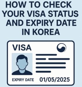 how to check your visa
