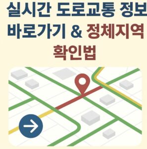 실시간 도로교통 정보