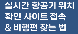 실시간 항공기 위치 확인 사이트 접속 & 비행편 찾는 법